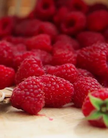 RASPBERRY (FRUIT) at The Living Root Cafe - Vegan Restaurant