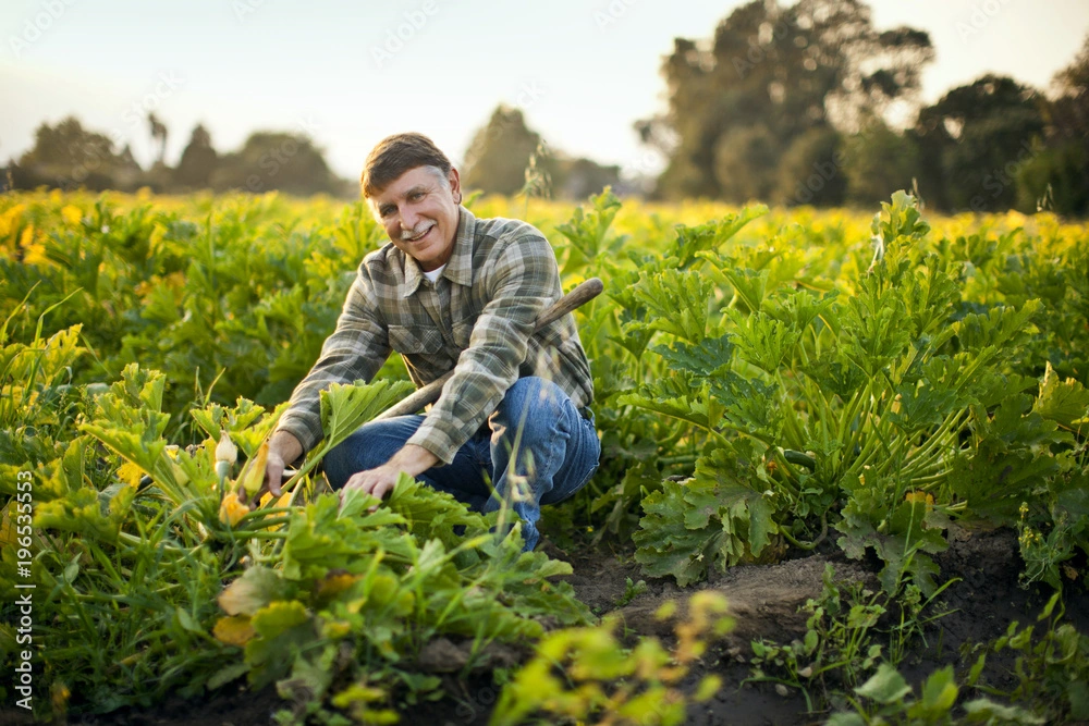 farmer at The Living Root Cafe - Vegan Restaurant